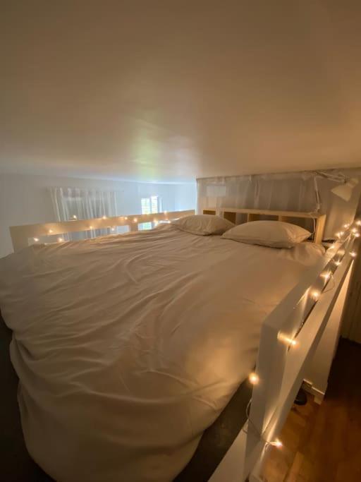Appartement De Charme Pres Du Stade De France Saint-Denis  Zewnętrze zdjęcie